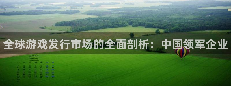 bg大游电子商务有限公司怎么样：全球游戏发行市场的全面剖析：中国领军企业