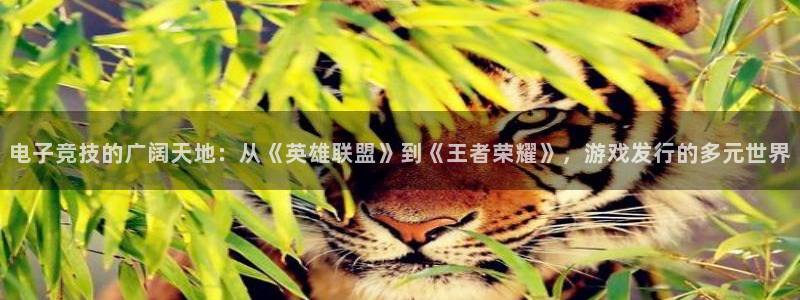 bg大游官网注册方法是什么：电子竞技的广阔天地：从《英雄联盟》到《王者荣耀》，游戏发行的多元世界