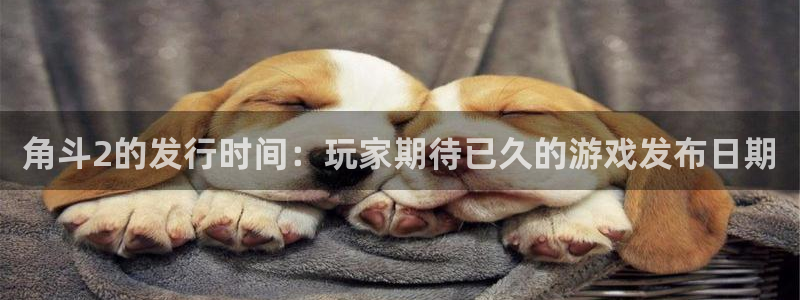 bg大游官网注册地址查询官网：角斗2的发行时间：玩家期待已久的游戏发布日期