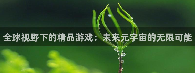 bg大游酒庄：全球视野下的精品游戏：未来元宇宙的无限可能