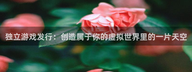 bg大游品牌策划公司：独立游戏发行：创造属于你的虚拟世界里的一片天空