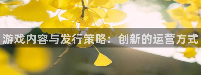 bg大游官网平台怎么样啊