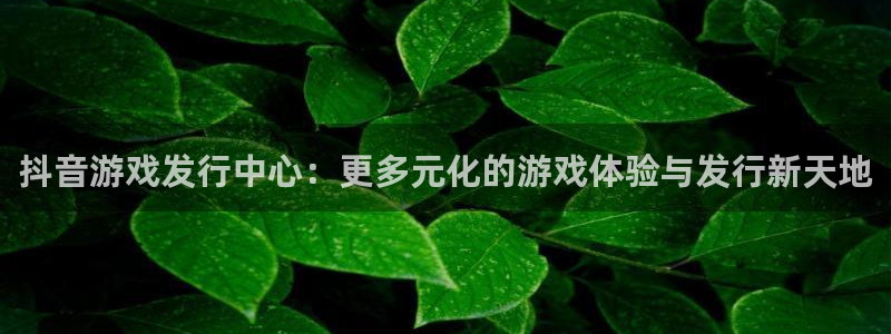 bg大游品牌策划公司：抖音游戏发行中心：更多元化的游戏体验与发行新天地