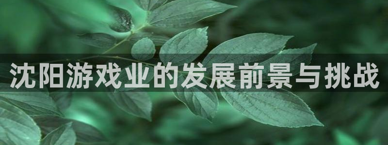 江苏bg大游