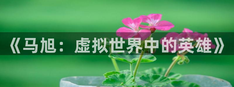 bg大游logo片头米高梅狮子：《马旭：虚拟世界中的英雄》