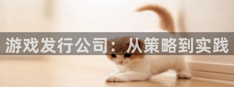 bg大游官网是什么娱乐?