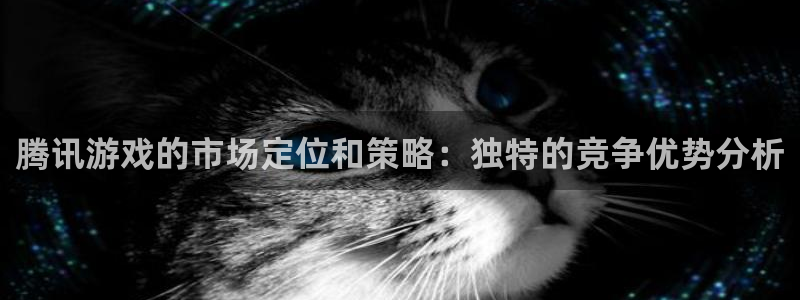 陕西省西安市bg大游子文化创意