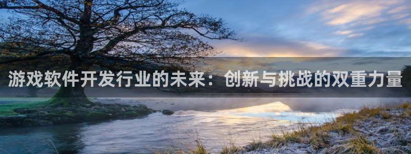 bg大游官网官网注册账号密码：游戏软件开发行业的未来：创新与挑战的双重力量