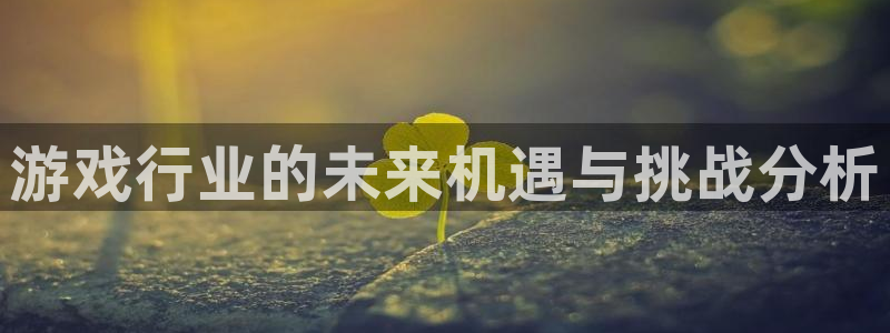 bg大游官网解绑银行卡怎么操作：游戏行业的未来机遇与挑战分析
