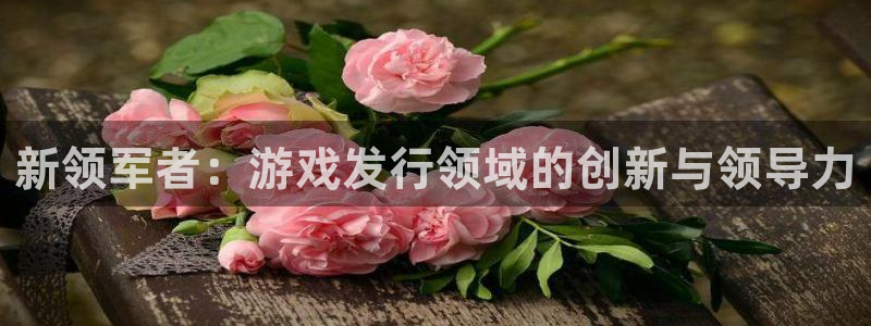 bg大游子出版社：新领军者：游戏发行领域的创新与领导力