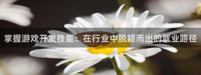 bg大游logo