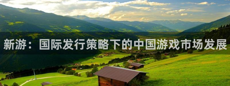 bg大游官网注册平台官网：新游：国际发行策略下的中国游戏市场发展