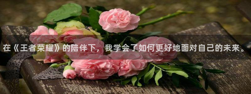 深圳市bg大游科技有限招聘公司