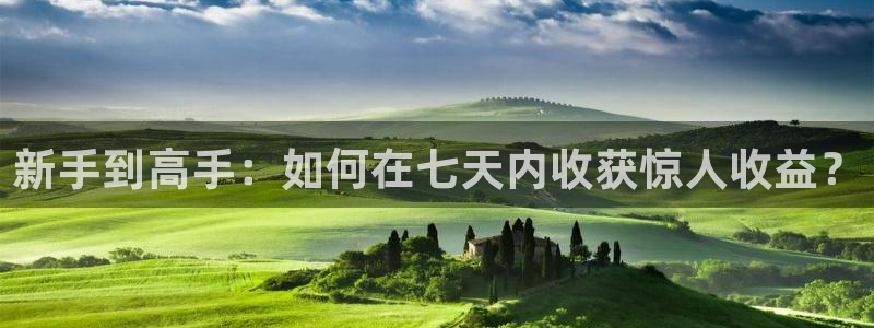 bg大游官网代理注册：新手到高手：如何在七天内收获惊人收益？