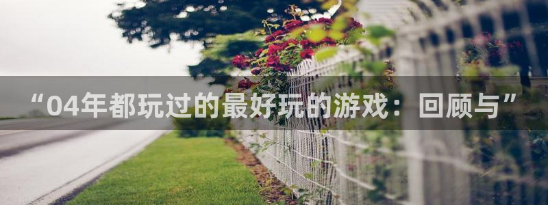 bg大游服装：“04年都玩过的最好玩的游戏：回顾与”