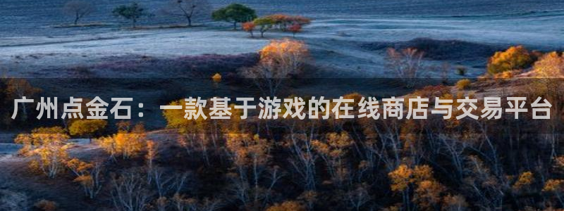 bg大游注册开户：广州点金石：一款基于游戏的在线商店与交易平台