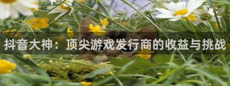 bg大游子怎么来的：抖音大神：顶尖游戏发行商的收益与挑战
