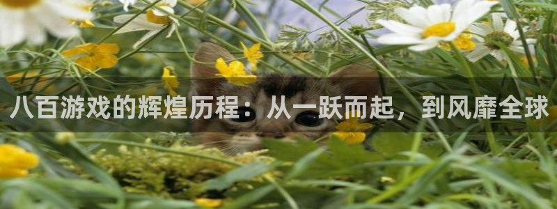 bg大游官网登录注册失败