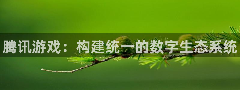 bg大游官网客服电话是多少