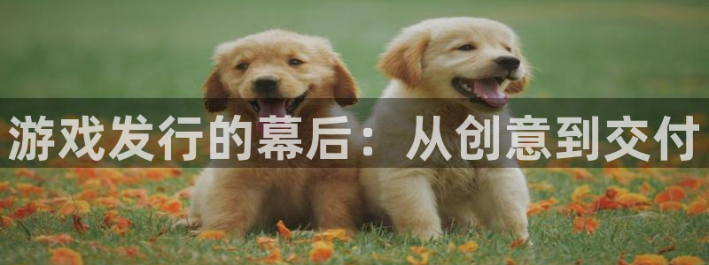 bg大游子公司怎么样知乎