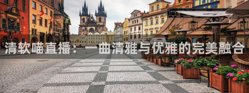 飞速体育直播：清软喵直播：一曲清雅与优雅的完美融合