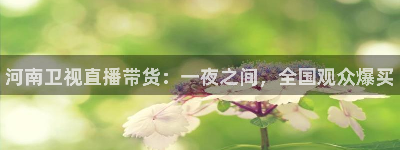 飞速直播nba免费观看：河南卫视直播带货：一夜之间，全国观众爆买