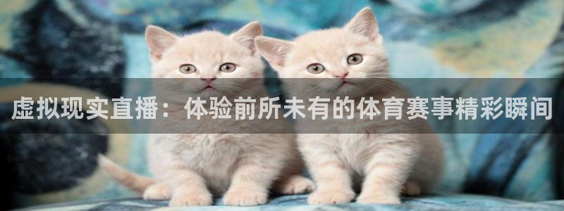 飞速体育nba无插件直播：虚拟现实直播：体验前所未有的体育赛事精彩瞬间