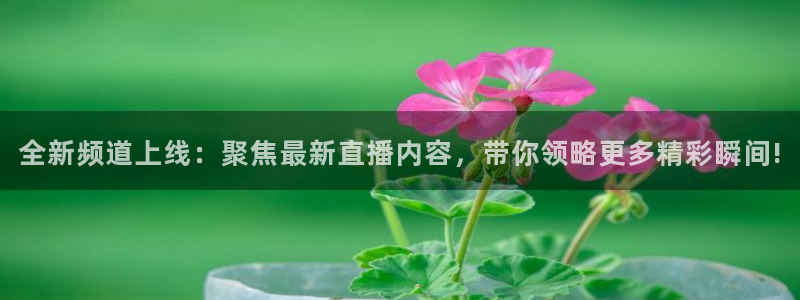 飞速足球直播官网：全新频道上线：聚焦最新直播内容，带你领略更多精彩瞬间!