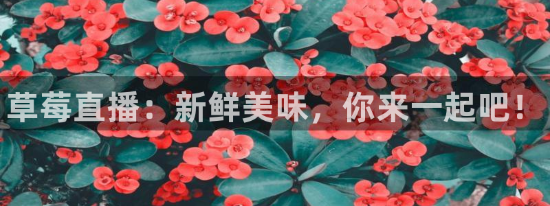 飞速体育足球直播免费观看：草莓直播：新鲜美味，你来一起吧！