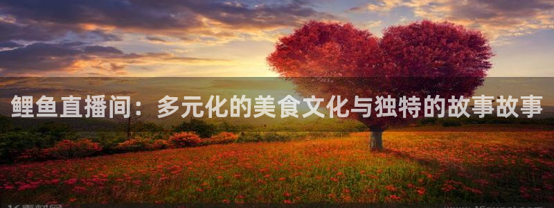 飞速nba直播吧：鲤鱼直播间：多元化的美食文化与独特的故事故事