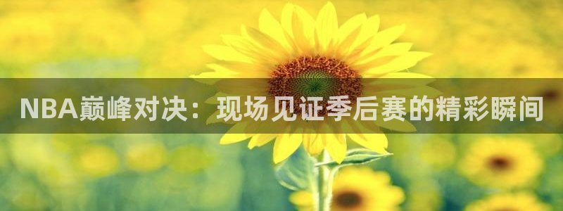 飞速看球nba直播：NBA巅峰对决：现场见证季后赛的精彩瞬间