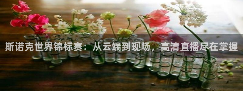 飞速体育nba直播：斯诺克世界锦标赛：从云端到现场，高清直播尽在掌握